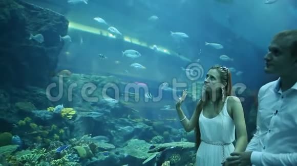 男孩和女孩对漂浮在地下水族馆的不同鱼感到高兴视频的预览图