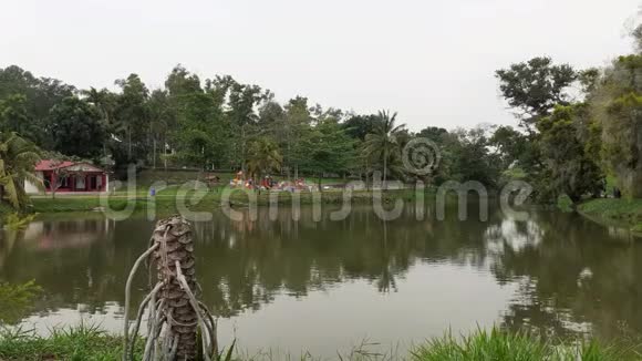 马来西亚柔佛市克鲁昂塔曼塔西克的一个湖视频的预览图