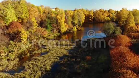尼兹尼卡门斯基池塘秋天在莫斯科的泽勒诺格勒俄罗斯视频的预览图