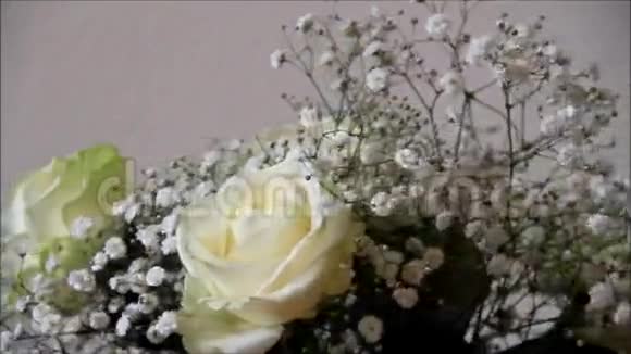 小白花之间的玫瑰色视频的预览图