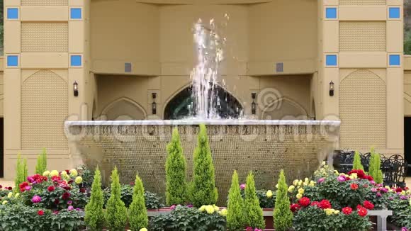 喷泉水天井花园视频的预览图