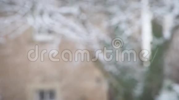 白雪皑皑的冬天主题背景模糊视频的预览图