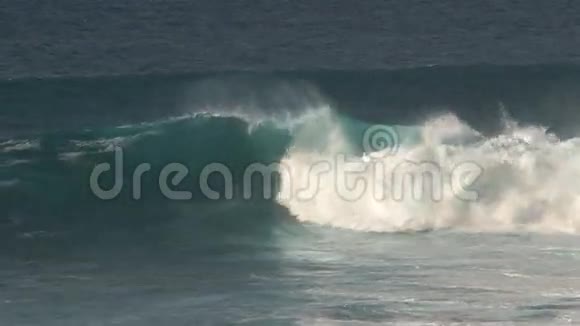夏威夷毛伊岛海岸的巨浪视频的预览图