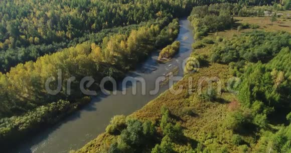 有森林的小河视频的预览图