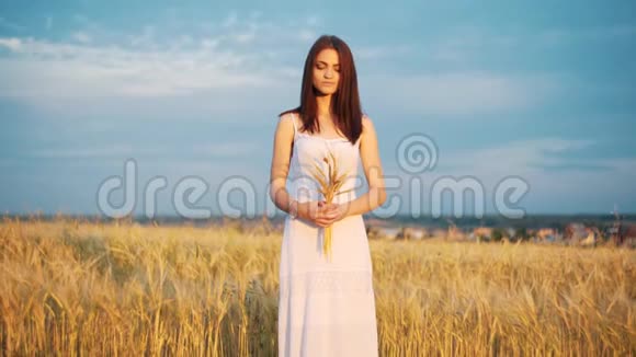 美丽的女人在阳光下夕阳下在夏天的傍晚田野上画着穗麦大气时刻地球视频的预览图