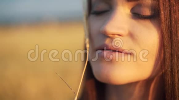 美丽的女人在阳光下夕阳下在夏天的傍晚田野上画着穗麦大气时刻地球视频的预览图