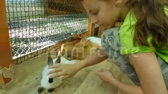 小女孩喂养装饰兔子并与他们交流视频的预览图
