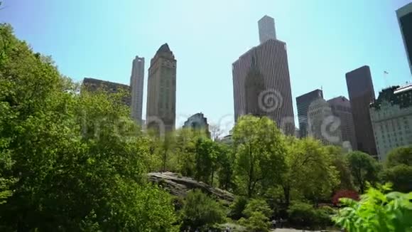 纽约中央公园视频的预览图