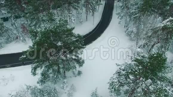 汽车在冬天的雪松林中行驶空中无人机镜头视频的预览图