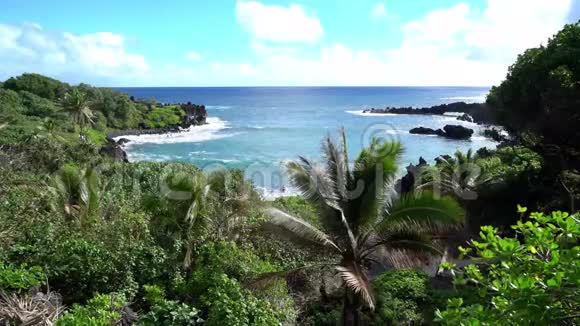 夏威夷海洋俯瞰视频的预览图