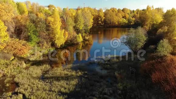 尼兹尼卡门斯基池塘秋天在莫斯科泽勒诺格勒行政区俄罗斯视频的预览图