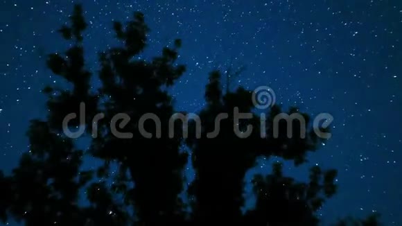 夜空中的星星在树上移动时间流逝视频的预览图