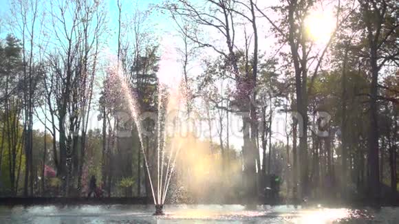 喷泉在公园里飞溅动作缓慢视频的预览图