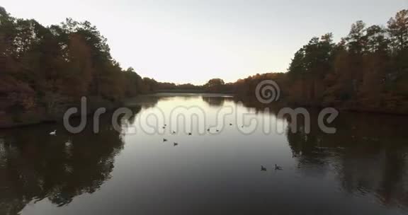 北卡罗来纳州Drone拍摄的带有阳光阴影和倒影的鸭子池塘湖视频视频的预览图