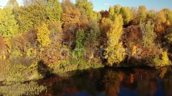 尼兹尼卡门斯基池塘秋天在莫斯科泽勒诺格勒行政区俄罗斯视频的预览图