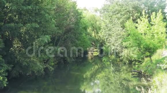 有绿色河岸的河流夏天的自然视频的预览图
