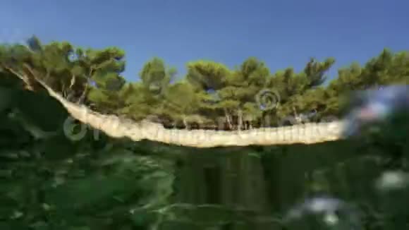 透过水面的美丽景色视频的预览图