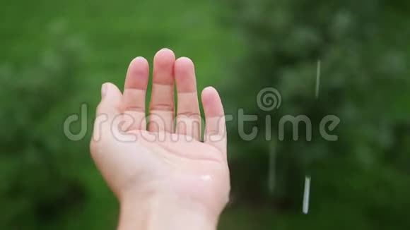 雨滴落在手掌上夏季雨视频的预览图