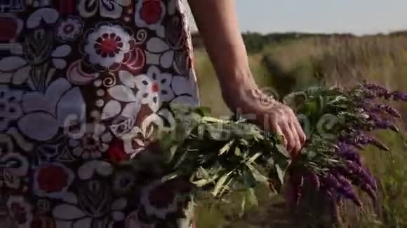 带着一束野花走在田野上的女人视频的预览图