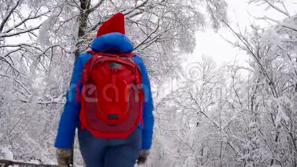 女人沿着一条小路走在美丽的冬天白雪覆盖的风景中晴朗的晴朗的霜冻天气视频的预览图