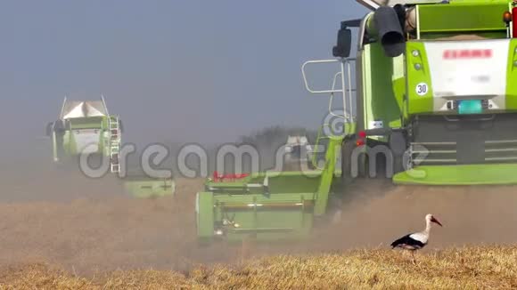 收割者在田里收割小麦视频的预览图