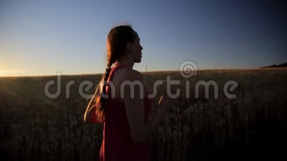 运动慢跑的女人在日落时在田野附近跑步视频的预览图