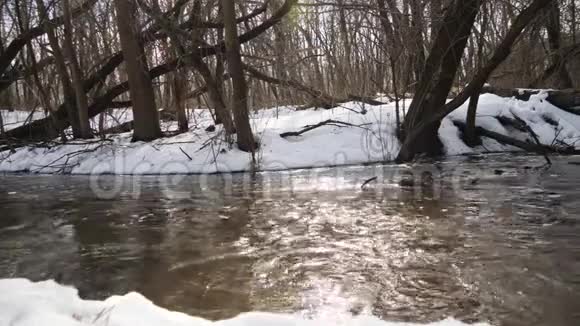 在树林里融化的雪视频的预览图