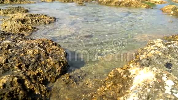在地中海岩石海岸的一个简单的冲浪视频的预览图