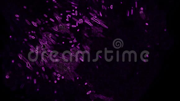黑色背景下的紫罗兰色抽象视频的预览图