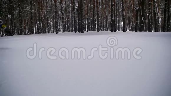 快乐的人潜入深雪在冬季松林中享受乐趣慢动作视频的预览图