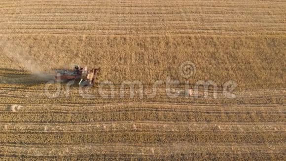 鸟瞰联合收割机收集小麦作物小麦收获剪食品工业领域的组合视频的预览图