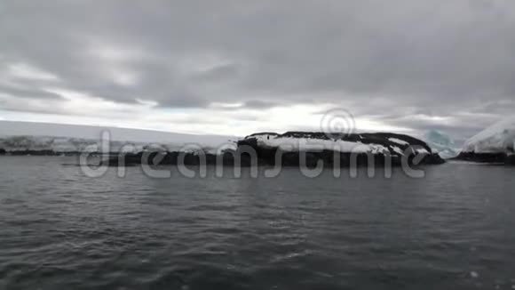 南极洲海洋中的企鹅雪海岸线视频的预览图