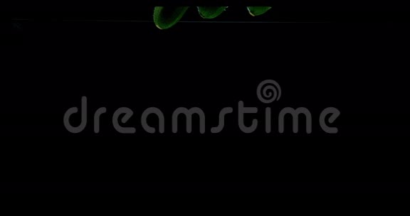 长小胡瓜或西葫芦葫芦巴皮蔬菜落入水中的黑色背景视频的预览图