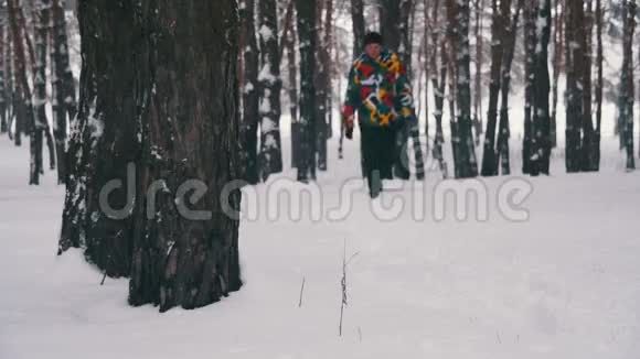 在冬季松林中漫步慢动作视频的预览图