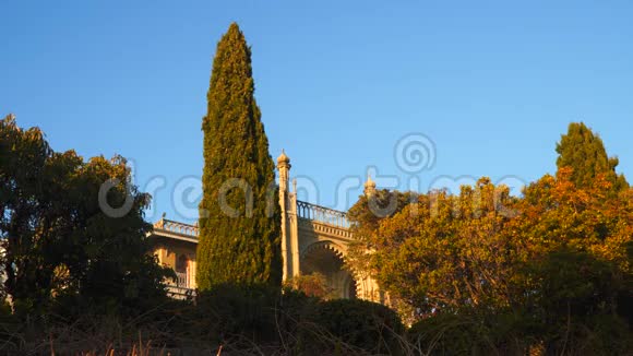 日落时分沃龙佐夫宫殿在树木之间视频的预览图