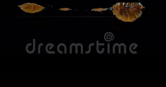 矮南瓜葫芦黑背景下落入水中的水果视频的预览图