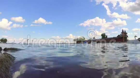 匈牙利克西利镇巴拉顿湖上的天鹅视频的预览图