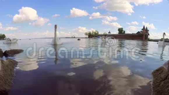匈牙利克西利镇巴拉顿湖上的天鹅视频的预览图