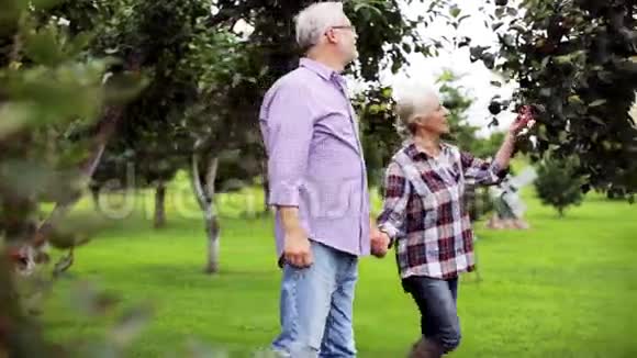 年长夫妇沿着夏园散步视频的预览图