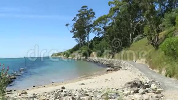 新西兰杜内丁的景观视频的预览图