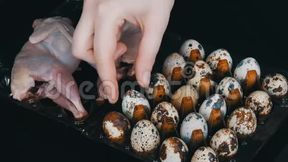 新鲜的鹌鹑肉放在一个塑料棕色托盘旁边的鹌鹑蛋黑色背景女人的手把鸡蛋从视频的预览图