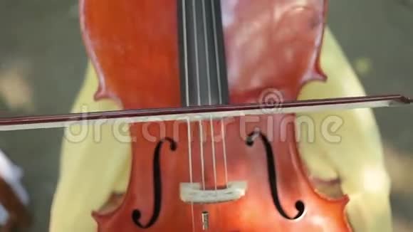 女人玩大提琴视频的预览图