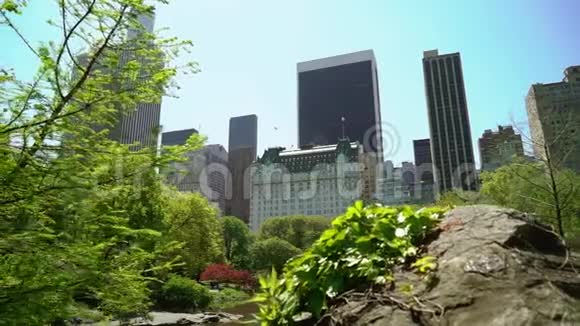 纽约中央公园视频的预览图