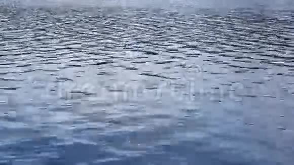 水波荡漾视频的预览图