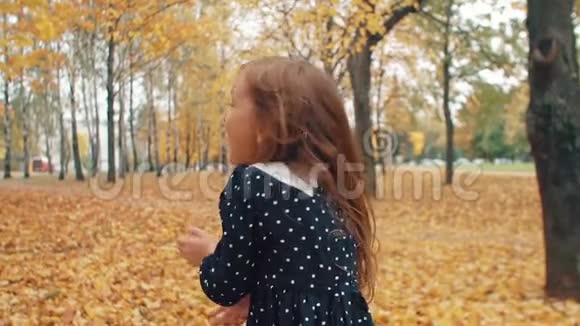 后景快乐可爱的小女孩卷曲的头发穿过公园里的秋巷慢悠悠视频的预览图