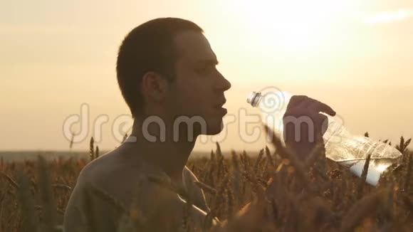年轻人在麦田里用塑料瓶喝水日落时分有水的男孩太阳在视频的预览图