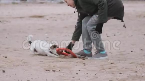 女人在海边玩狗视频的预览图