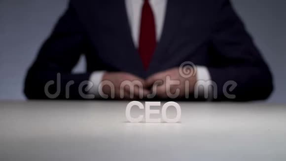 商业公司发展战略首席执行官视频的预览图