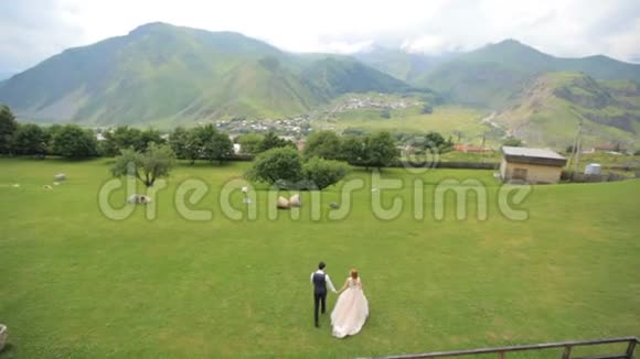新郎新娘沿着绿草地散步俯瞰美景视频的预览图