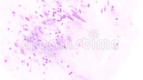 白色背景下的紫罗兰抽象视频的预览图